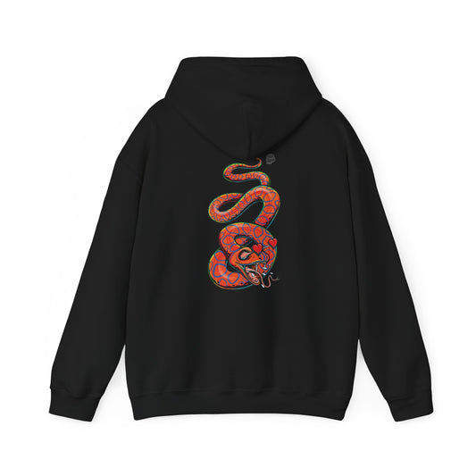 Brazilian Rainbow Boa Graphic Hoodie